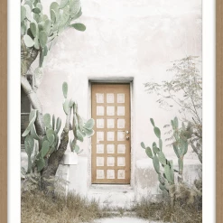 Soul Living Homewares Cacti Garden