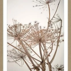 Soul Living Dried Stem LHF