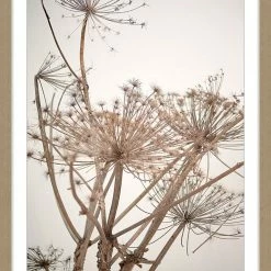 Soul Living Dried Stem RHF