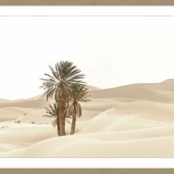 Soul Living Homewares Sandy Oasis