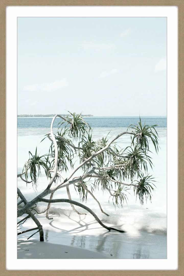 Soul Living Torquay Beach Homewares