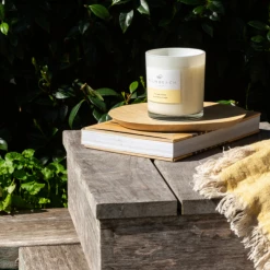 Soul Living Palm Beach Coconut & Lime 420g Standard Candle Candles & Scents