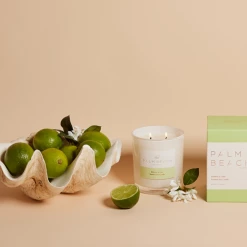 Soul Living Palm Beach Jasmine & Lime 420g Standard Candle Candles & Scents